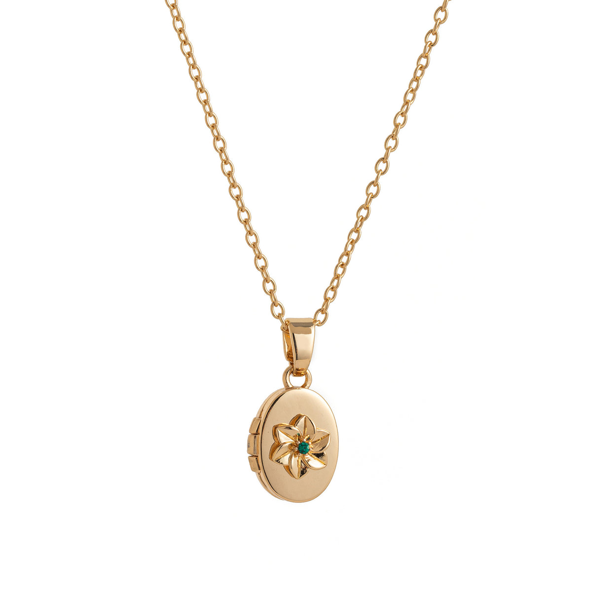 Floral Birthstone Photo Frame Necklace