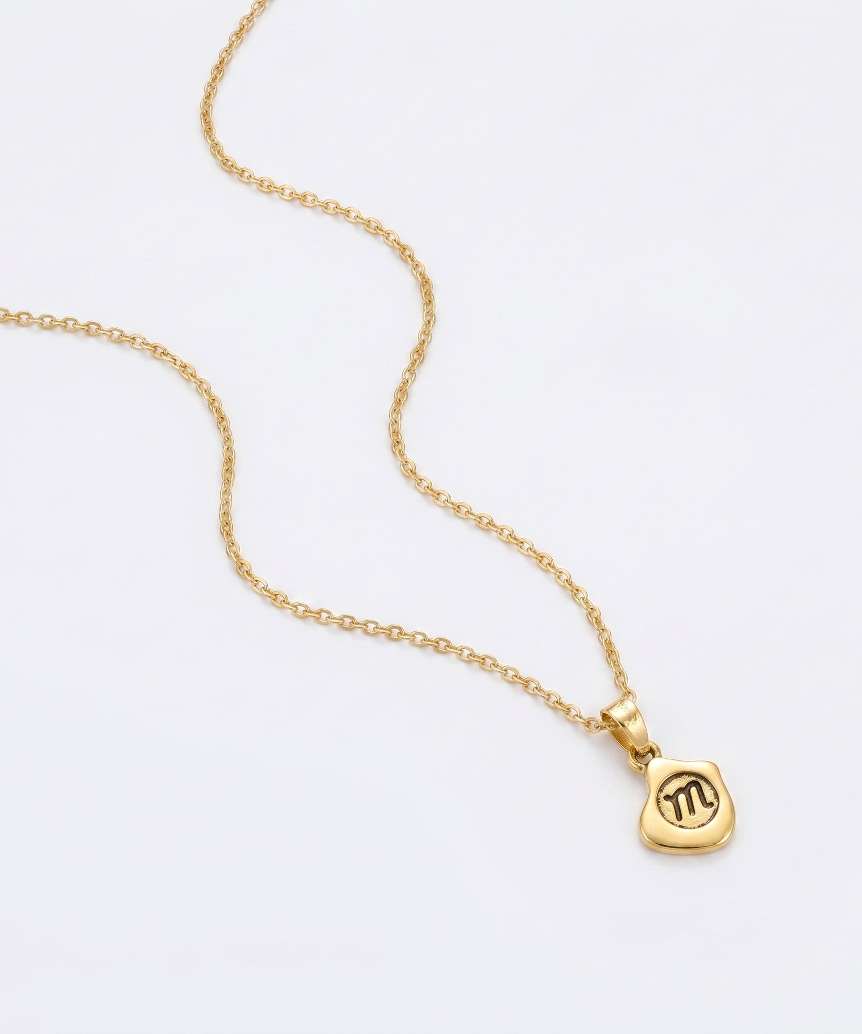 Harmonious Clavicle Necklace | YANA AI MODEL (BONUS) 25