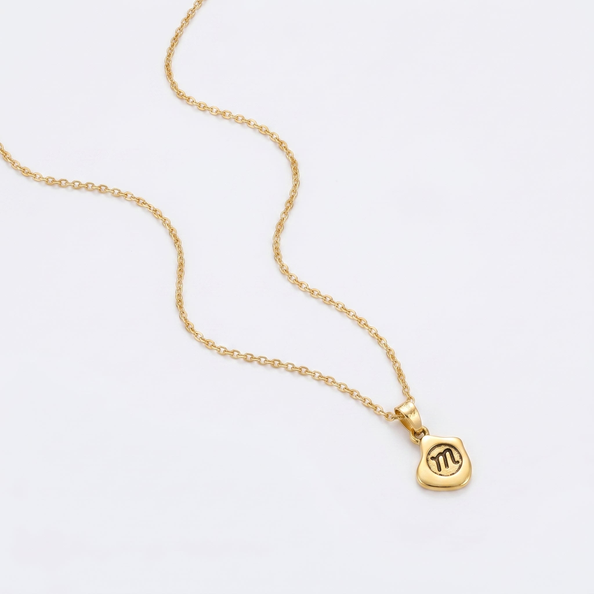 Harmonious Clavicle Necklace | YANA AI MODEL (BONUS) 25