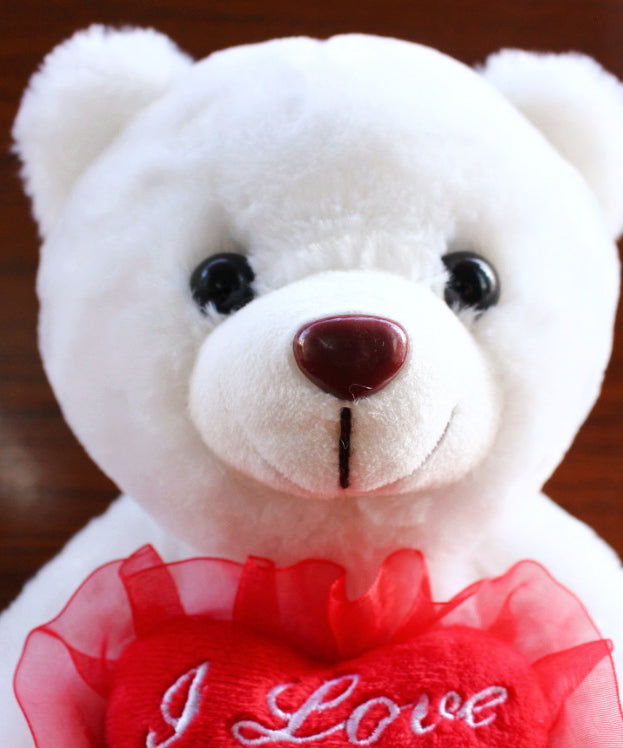 "I Love You" Colorful Bear Recording Hug Plush