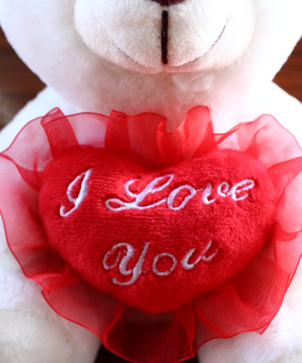 "I Love You" Colorful Bear Recording Hug Plush