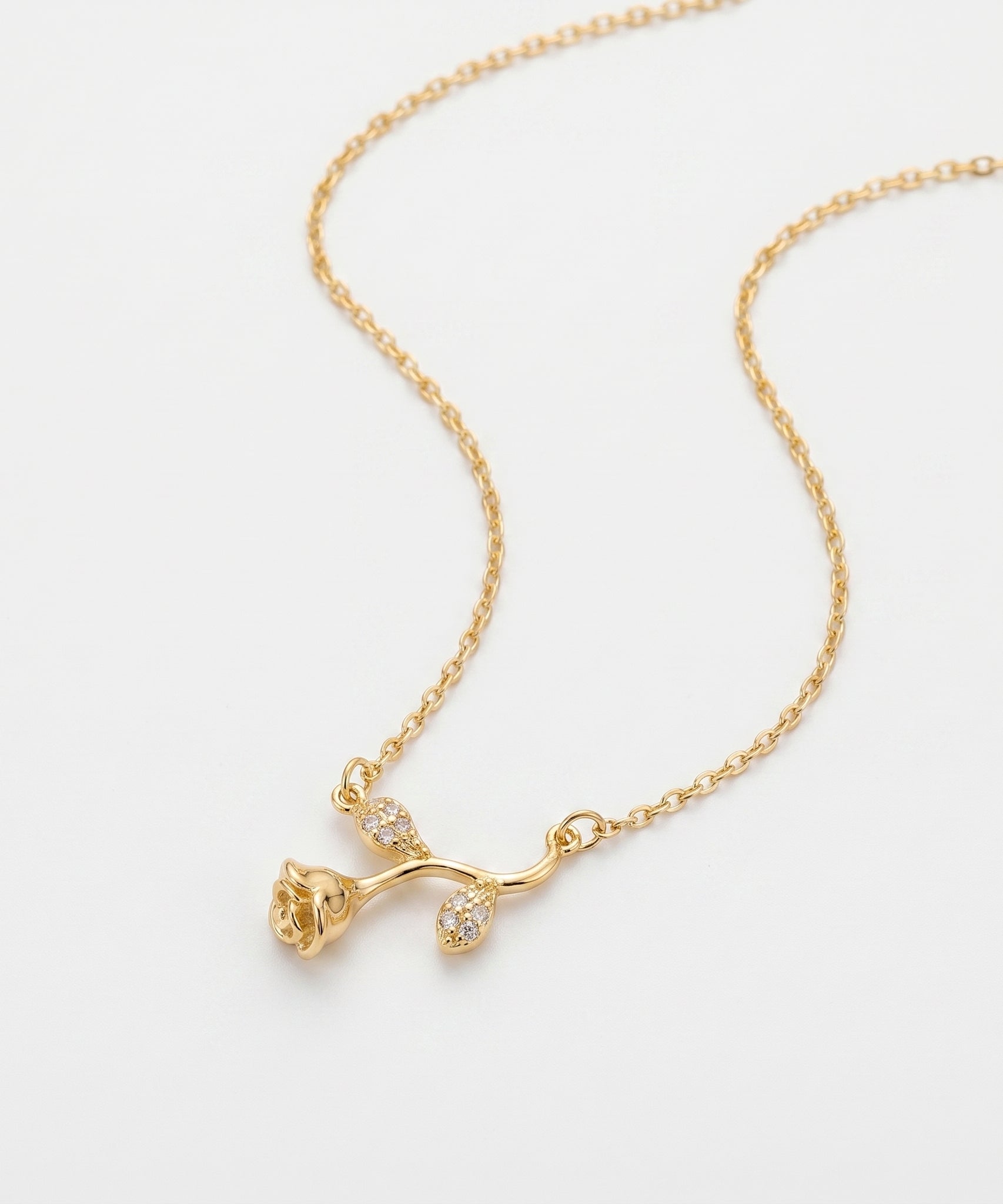 Harmonious Clavicle Necklace | YANA AI MODEL (BONUS) 25